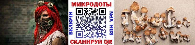 Псилоцибиновые грибы мицелий  Серов 