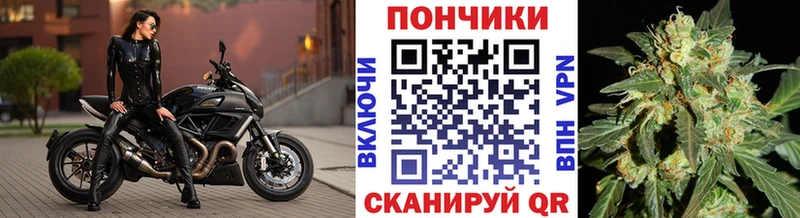 Каннабис сатива  цена   Серов 